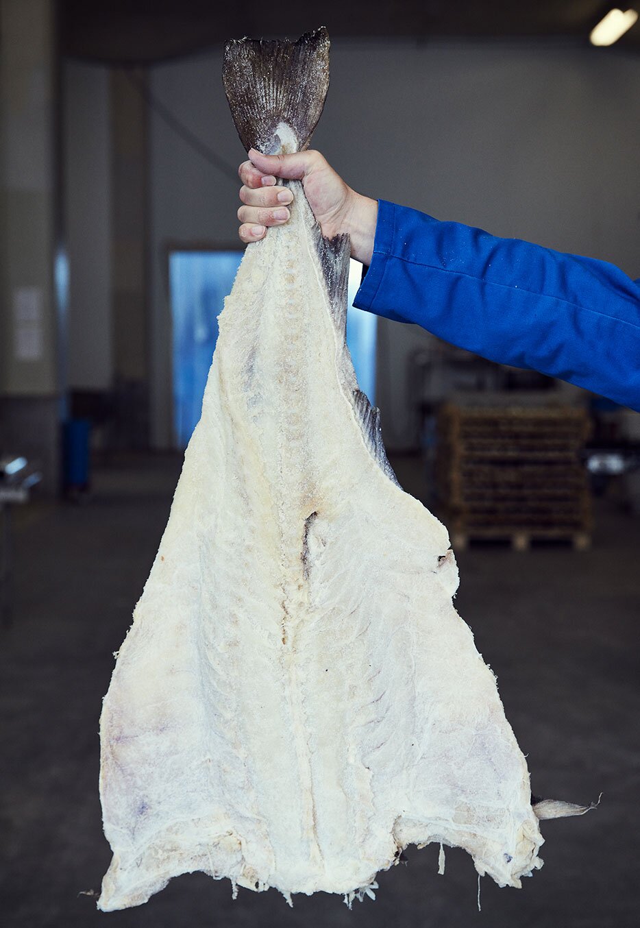 bacalao tradicional noruego