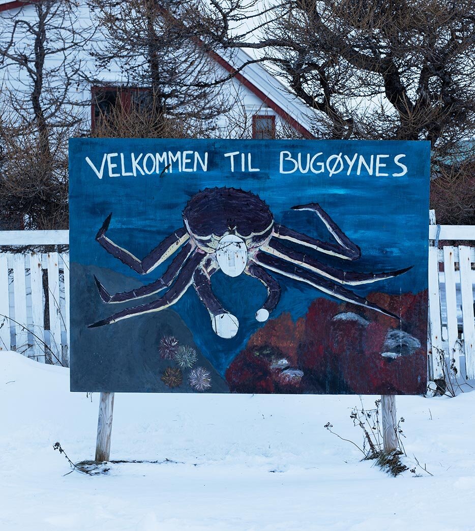 Bienvenidos a Bugøynes